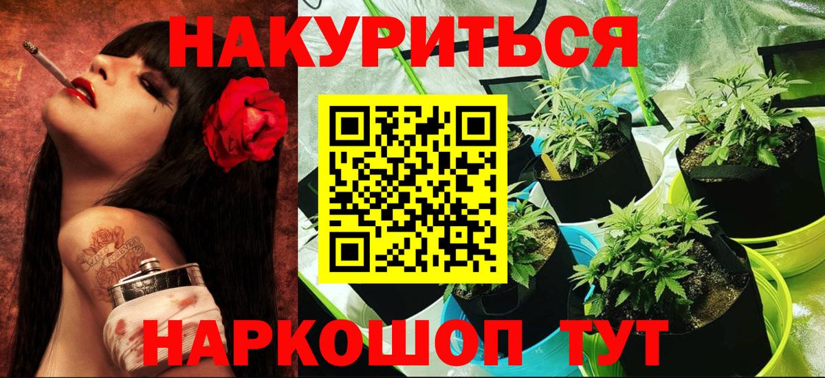 Бошки марихуана семена Новошахтинск